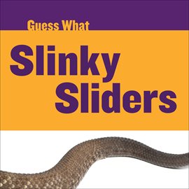 Cover image for Slinky Sliders