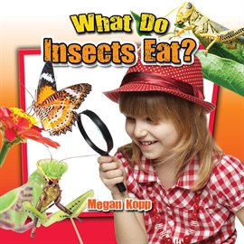 Cover image for What Do Insects Eat?