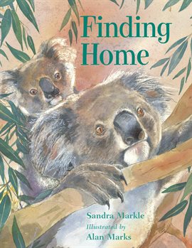 Cover image for Finding Home