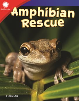 Cover image for Amphibian Rescue