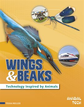 Cover image for Wings & Beaks