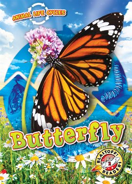 Cover image for Animal Life Cycles: Butterfly