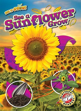 Imagen de portada para See a Sunflower Grow