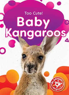 Cover image for Baby Kangaroos