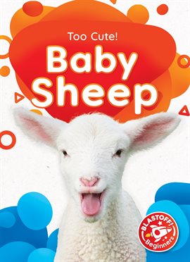 Cover image for Baby Sheep
