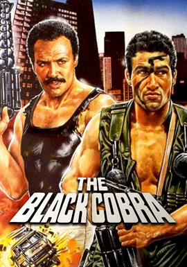 Cover image for Black Cobra