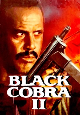 Cover image for Black Cobra 2