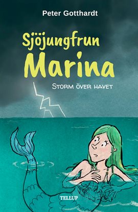 Storm över havet