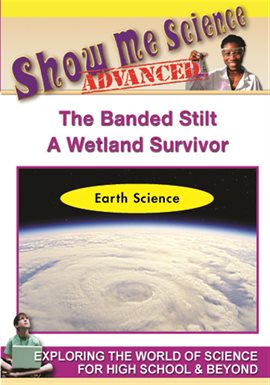 Imagen de portada para Earth Science The Banded Stilt
