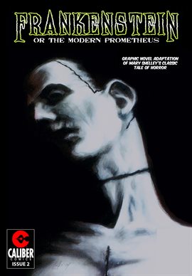 Cover image for Frankenstein: Or The Modern Prometheus