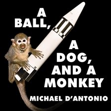Cover image for A Ball, a Dog, and a Monkey
