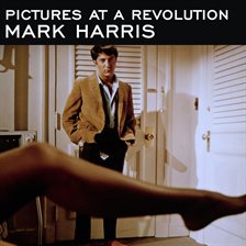 Cover image for Pictures at a Revolution