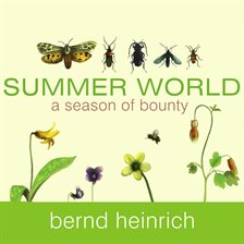 Cover image for Summer World