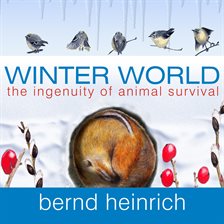 Cover image for Winter World