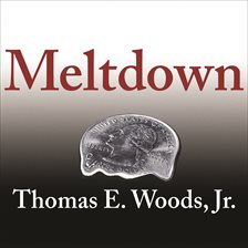Cover image for Meltdown