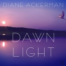Cover image for Dawn Light