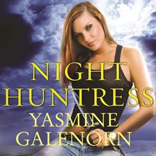 Cover image for Night Huntress