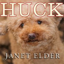 Cover image for Huck
