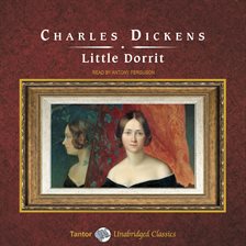 Cover image for Little Dorrit