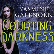 Cover image for Courting Darkness