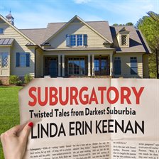 Cover image for Suburgatory