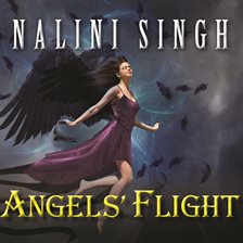 Cover image for Angels' Flight