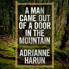Cover image for A Man Came Out of a Door in the Mountain