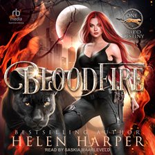Cover image for Bloodfire