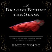 Cover image for The Dragon Behind the Glass