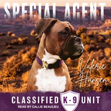 Cover image for Special Agent