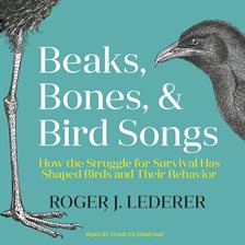 Cover image for Beaks, Bones, and Bird Songs