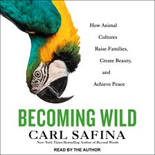 Cover image for Becoming Wild