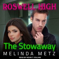 Cover image for The Stowaway
