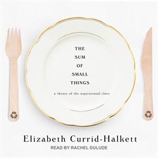 Cover image for The Sum of Small Things