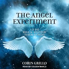Imagen de portada para The Angel Experiment