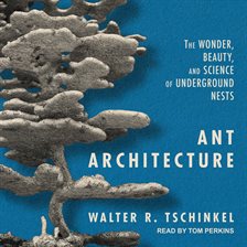 Cover image for Ant Architecture