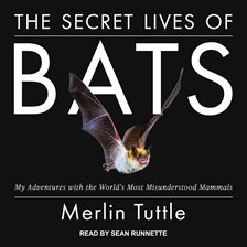 Cover image for The Secret Lives of Bats