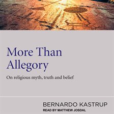 Cover image for More Than Allegory