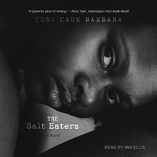 Cover image for The Salt Eaters