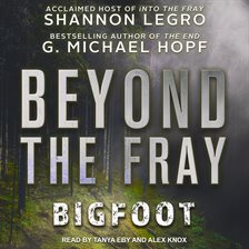 Cover image for Beyond The Fray
