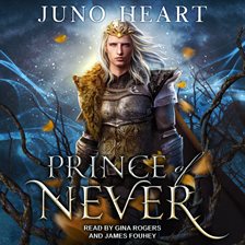Cover image for Prince of Never