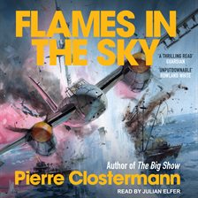 Cover image for Flames in the Sky