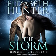 Imagen de portada para The Storm