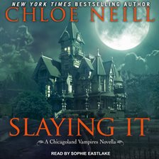 Cover image for Slaying It