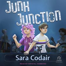 Cover image for Junk Junction