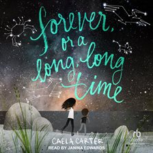 Cover image for Forever, or a Long, Long Time