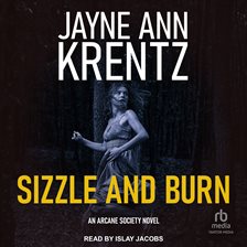 Cover image for Sizzle and Burn