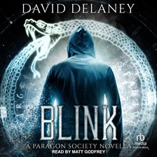 Cover image for Blink