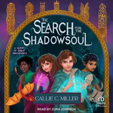 Cover image for The Search for the Shadowsoul