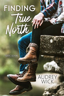 Cover image for Finding True North